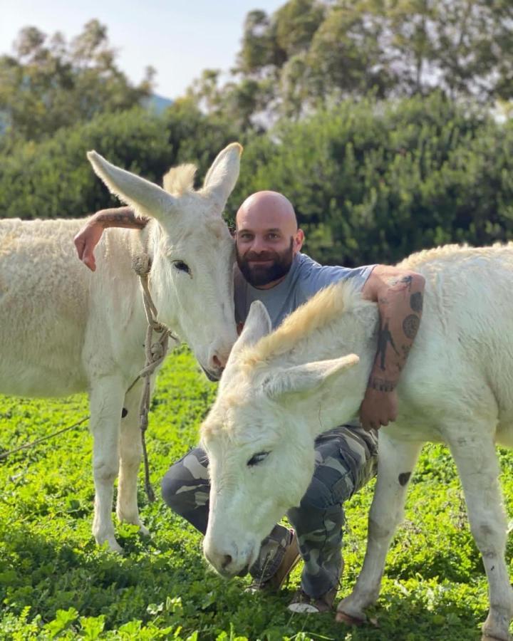 Agriturismo Casa Marmida Pardu Atzei Dış mekan fotoğraf